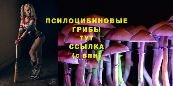 дживик Киренск