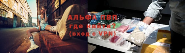 дживик Киренск