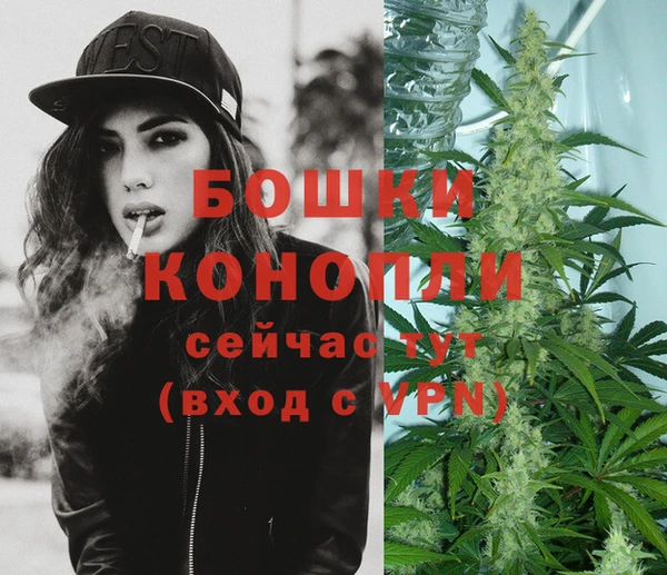 спиды Кинешма