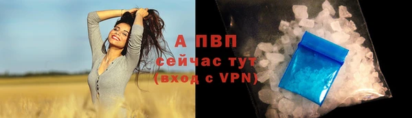 спиды Кинешма