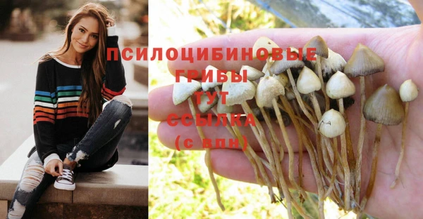 дживик Киренск