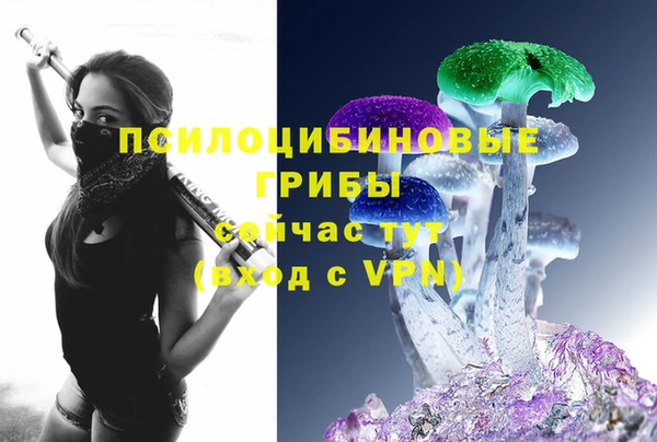 дживик Киренск