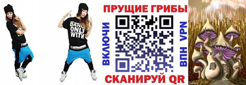 Галлюциногенные грибы мицелий  Купить закладки  Воркута 
